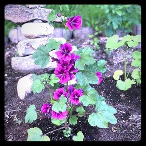 Meet your Posher, Jen